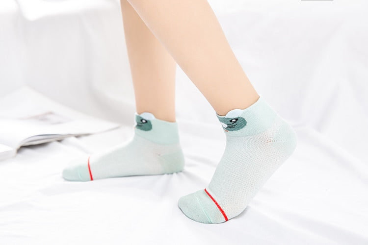 
                  
                    Summer Baby Socks / Cotton / 5Pairs/lot
                  
                