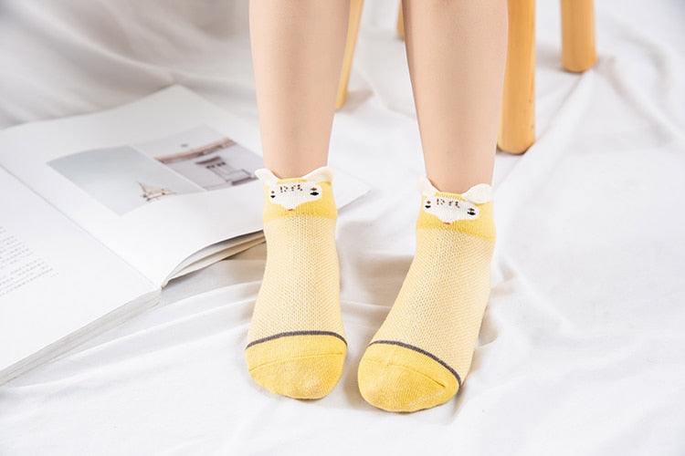 
                  
                    Summer Baby Socks / Cotton / 5Pairs/lot
                  
                